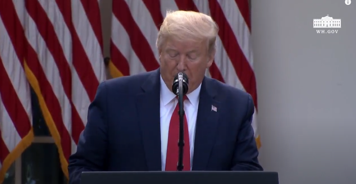 Article 25255 Thumbnail