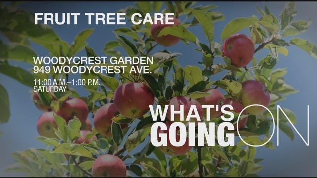 Article 108109 Thumbnail