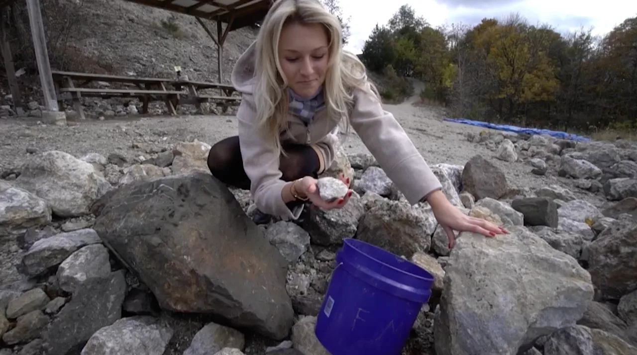 Franklin Mineral