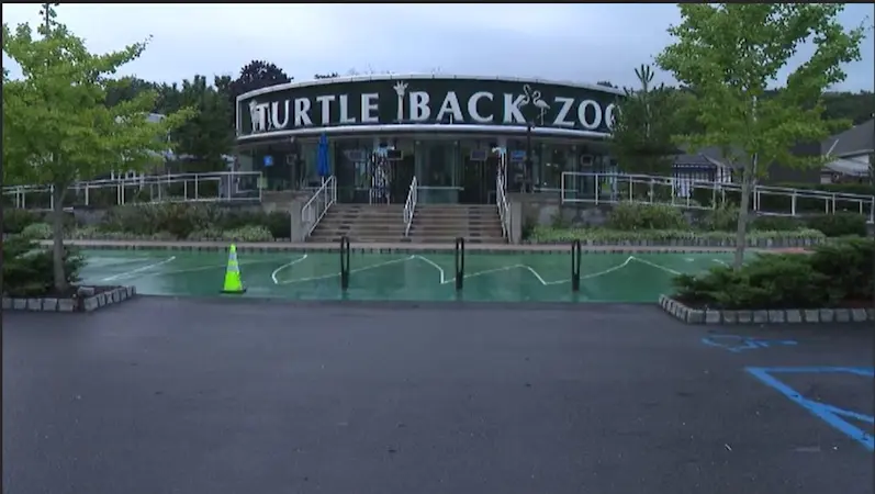 Story image: Bear briefly escapes from enclosure at Turtle Back Zoo in West Orange 