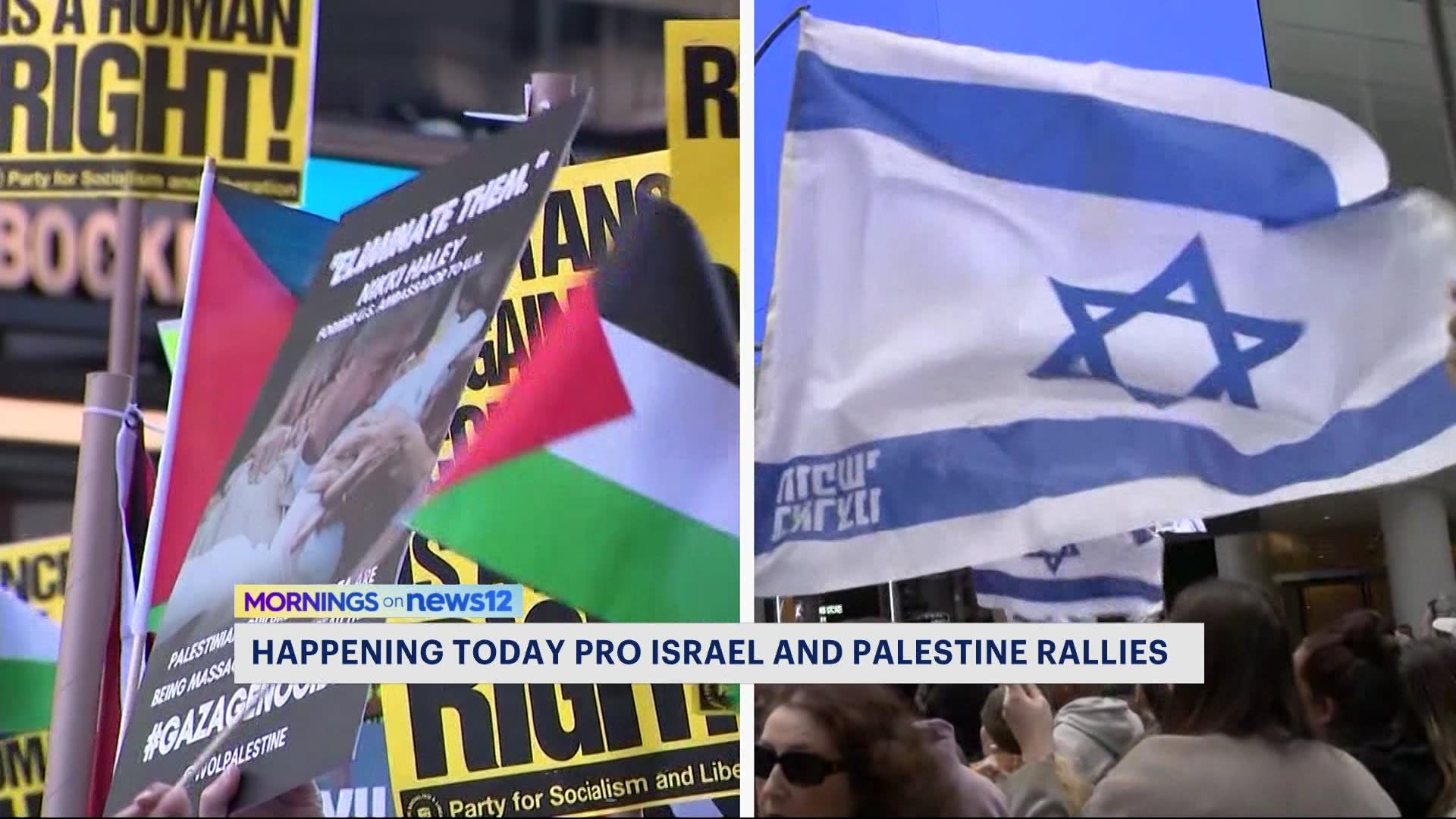 纽约市举行支持以色列人和巴勒斯坦人的示威集会