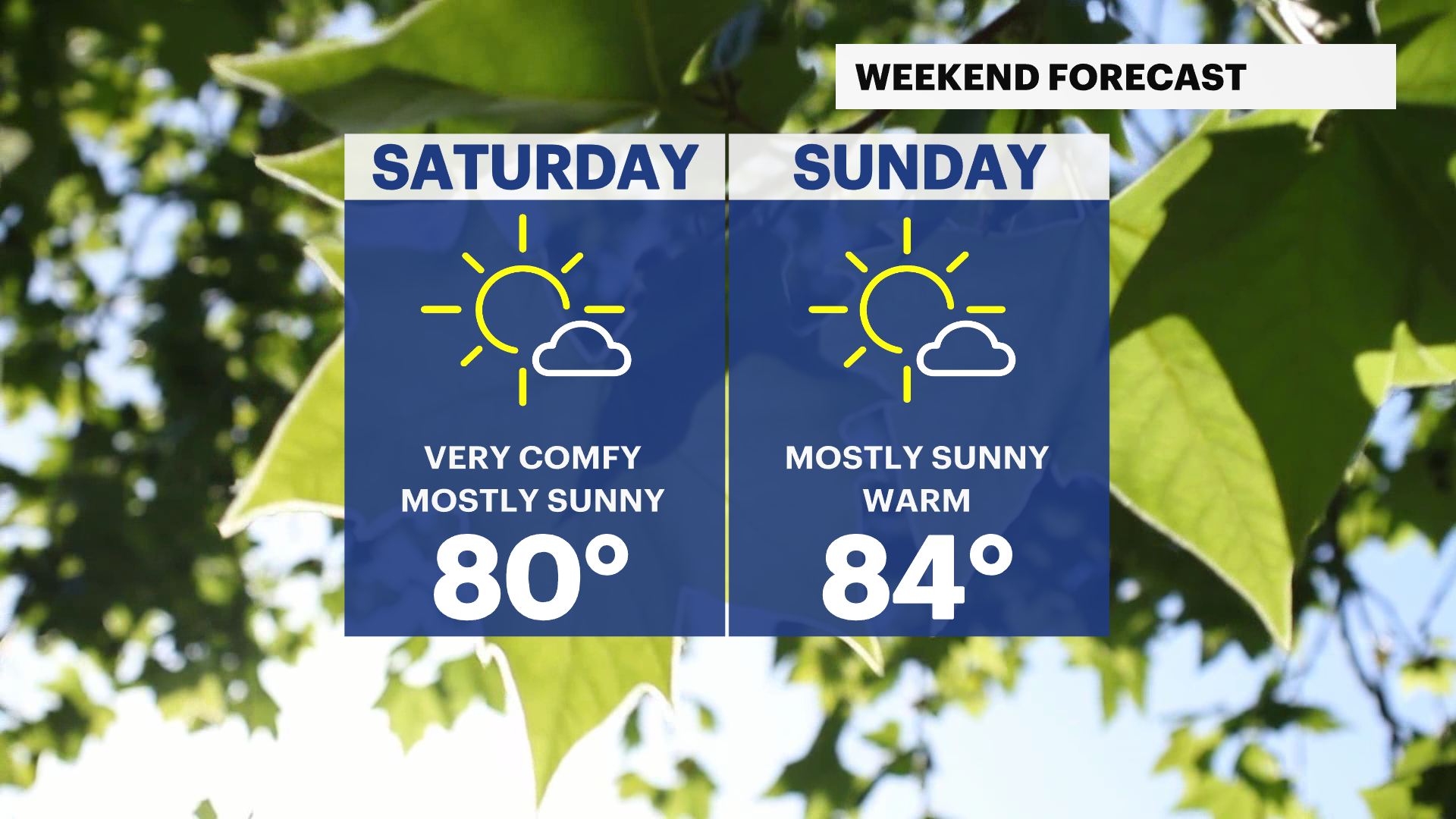 AG Weekend HV.png