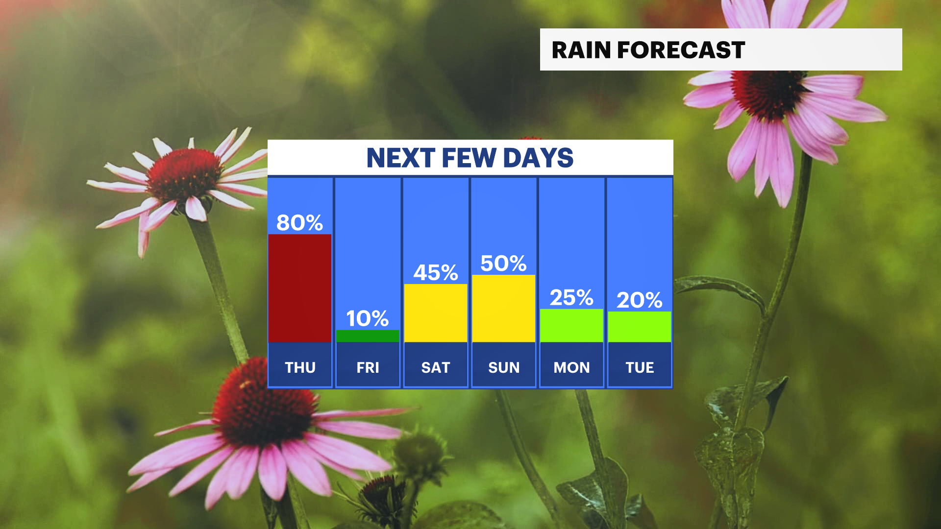 FB_Rain_Day.png