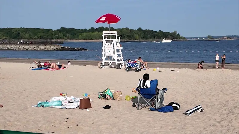 Story image: Swimmers ordered back to land following claims of a shark fin at New Rochelle beach