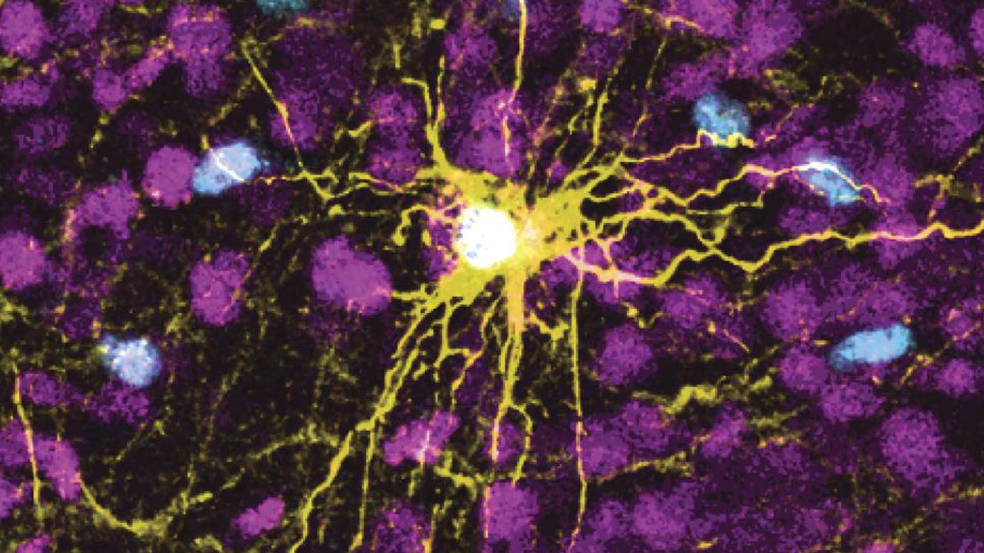 Article 308426 Hero Image