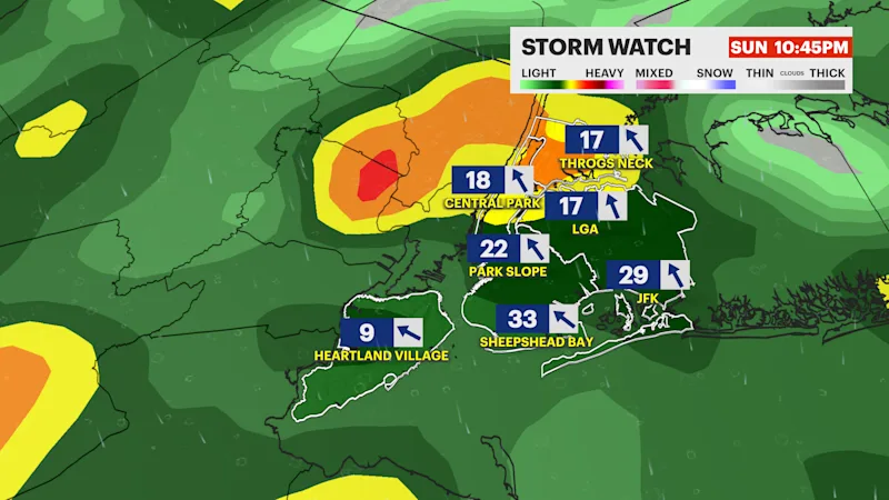 NYC4 6.png