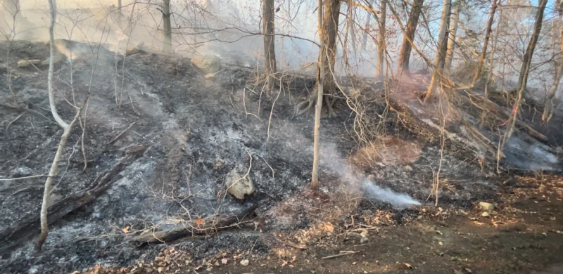 Story image: Exclusive: News 12 joins rescuers on Greenwood Lake fire line for close-up look at wildfire attack