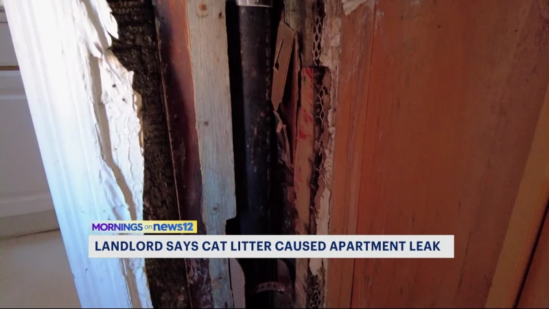 Story image: Wyckoff Avenue tenants say more leaks found following leak last week