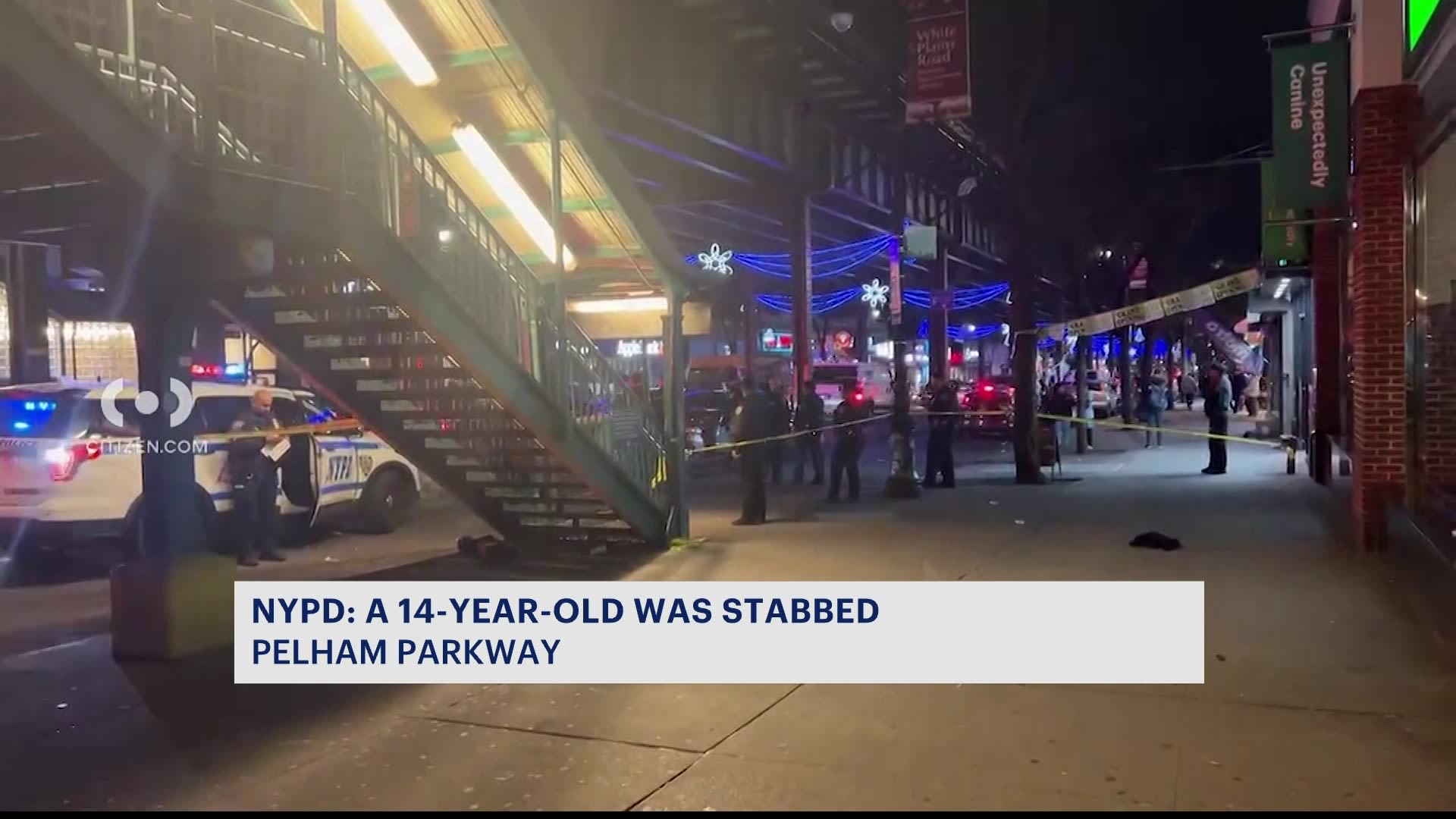 NYPD 14yearold boy critically injured in Pelham Parkway stabbing