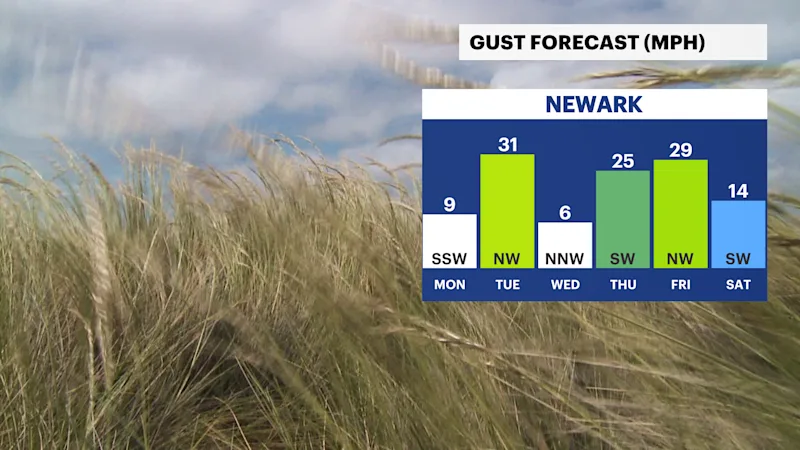 NJ Sun 02022025 Daily Gust Trend.png