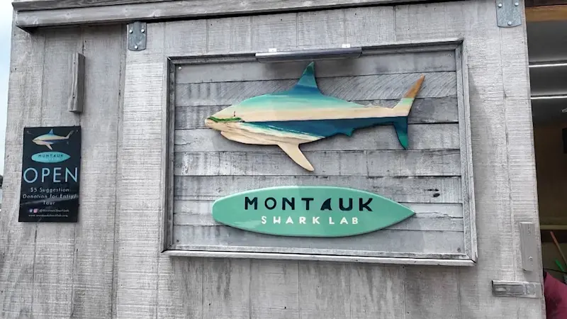 Story image: Montauk Shark Lab brings the wonders of the ocean to the public