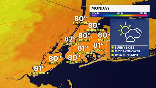 NY F P2 PM 2