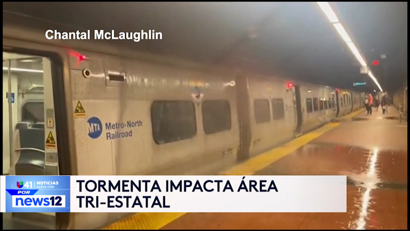 Story image: Univision 41 News Brief: Tormenta impacta area tri-estatal