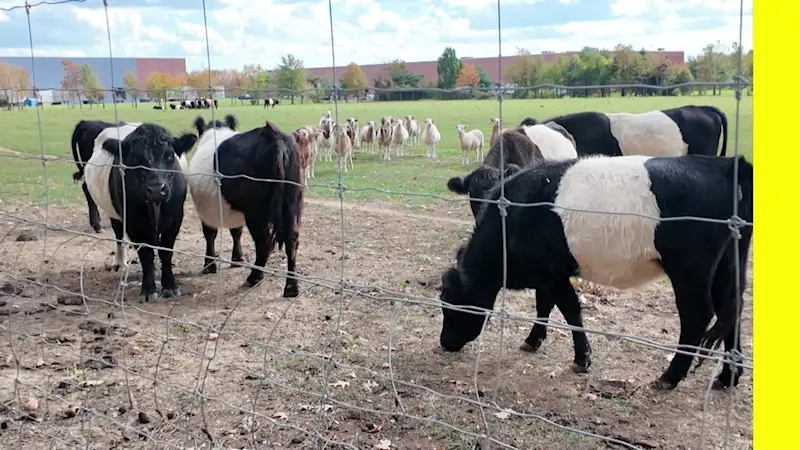 Story image: Henry Family farm in Cranbury saved from eminent domain