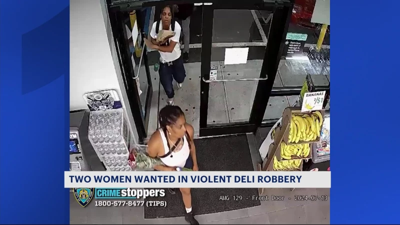 Story image: NYPD: 2 women wanted for assaulting, robbing woman at bodega on Grand Concourse 