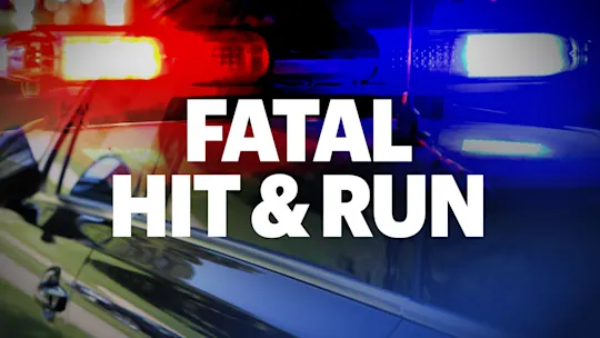 Fatal Hit & Run Generic
