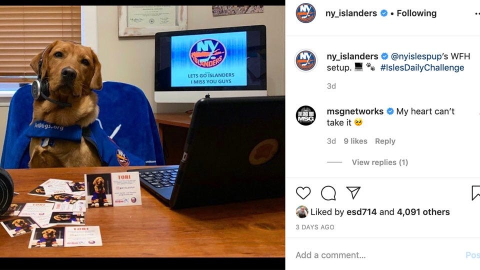 Article 23061 Thumbnail