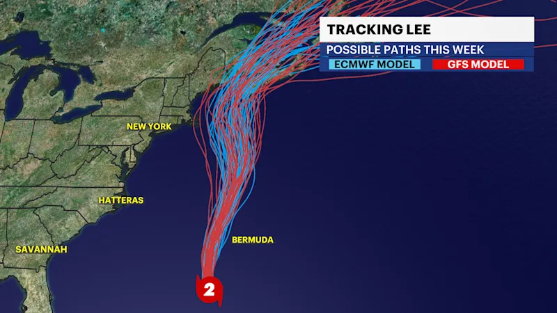 TF_Spaghetti_Lee20232.png