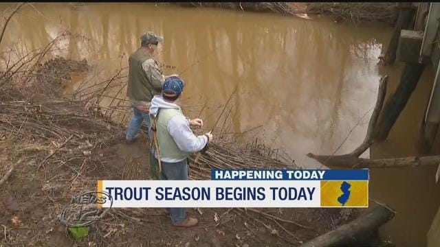 Article 46373 Thumbnail