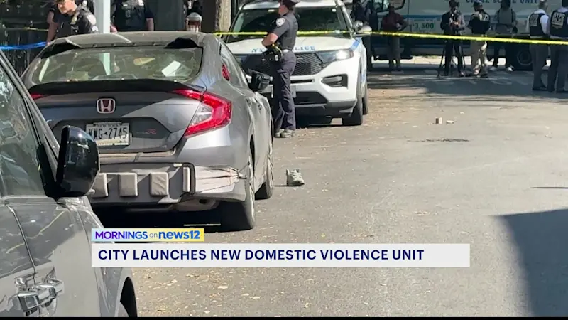 Story image: City launches new NYPD domestic violence unit to better protect survivors