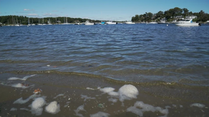 Story image: Save the Sound releases Long Island Sound Report Card