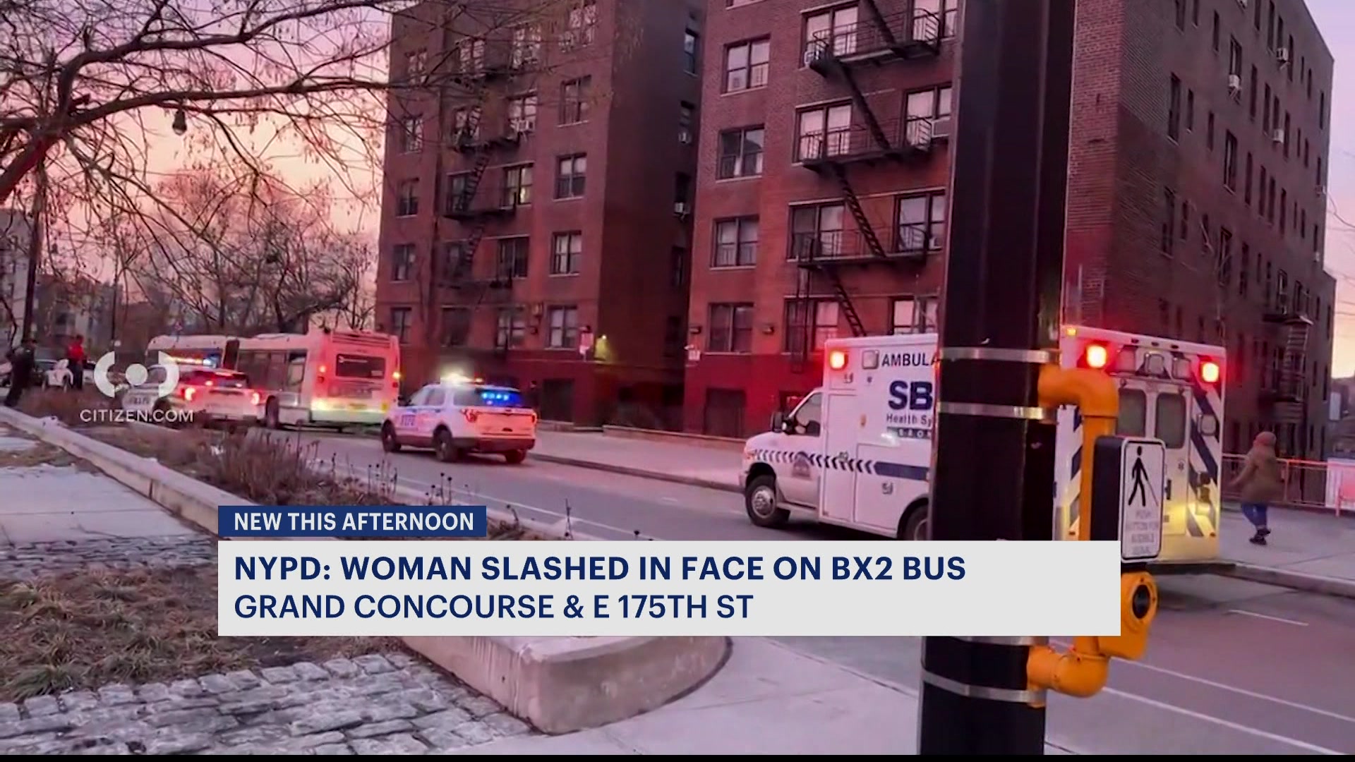 News 12 | Bronx | Police 33 Year Old Woman Attacked And Slashed In Mta ...