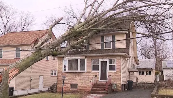 Stormy weather causes damage, power outages across New Jersey