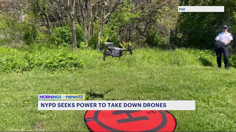 Story image: NYPD wants power to take down any dangerous drones flying over NYC