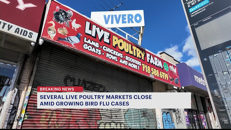 Story image: Bronx's Vivero Live Poultry Farm closed amid temporary shutdown of NYC live poultry markets