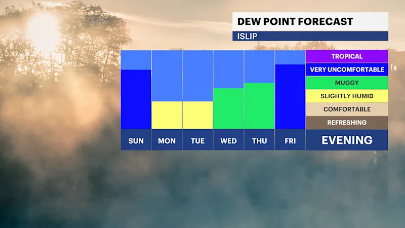 LI HUMIDITY.png