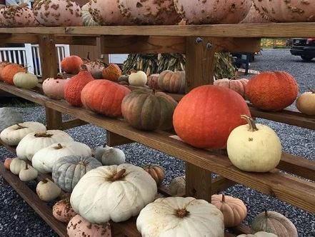 Article 147741 Thumbnail