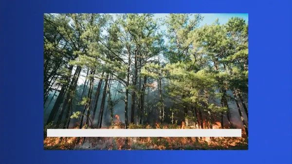 Officials: Fireworks caused Wharton State Forest wildfire