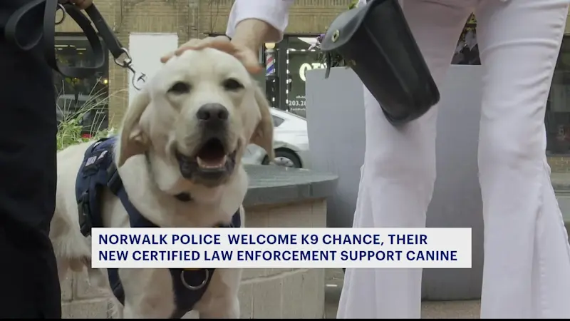 Story image: Norwalk police get new K-9 officer Chance