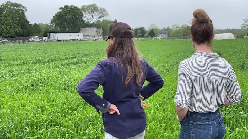 Story image: Long Island farms concerned over looming SNAP cuts in budget bill