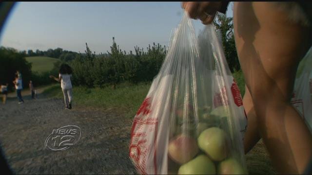 Article 146466 Thumbnail