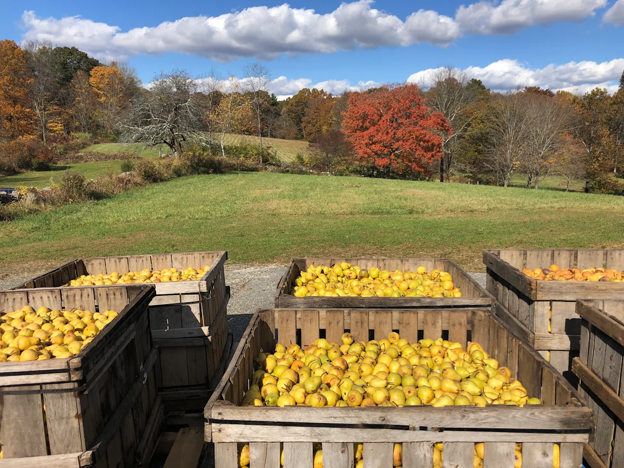 Westford Hills Distillers