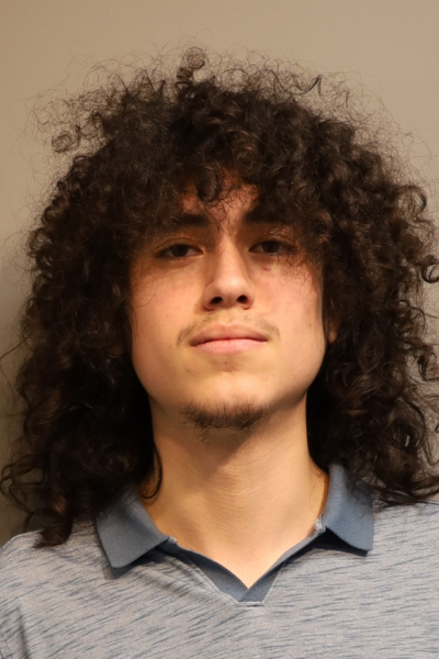 Andrade, Bryan mugshot