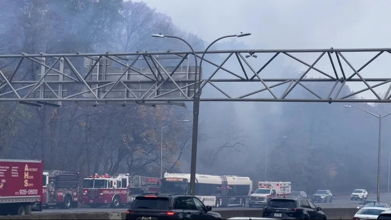 Story image: FDNY: Firefighters respond to brush fire along Major Deegan Expressway in the Bronx