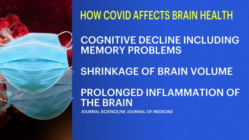 Story image: Mounting research shows that COVID-19 leaves its mark on the brain, including significant drops in IQ scores