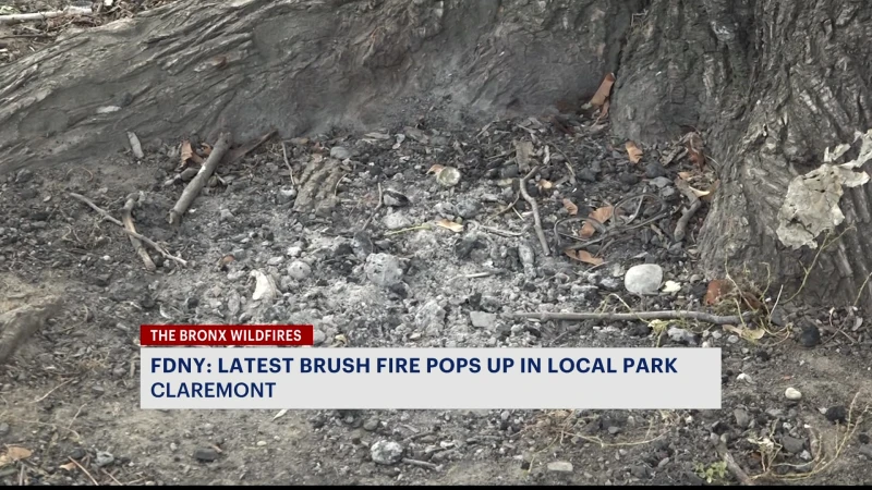 Story image: Brush fire extinguished in Claremont Park