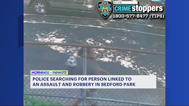 Story image: Man punched in the face and robbed of cellphone in Bedford Park