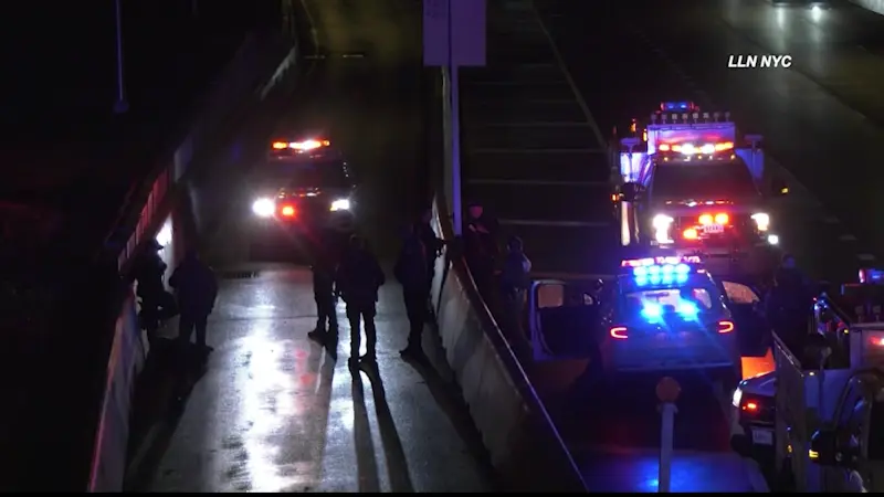 Story image: 2 men arrested in violent Dyker Heights carjacking