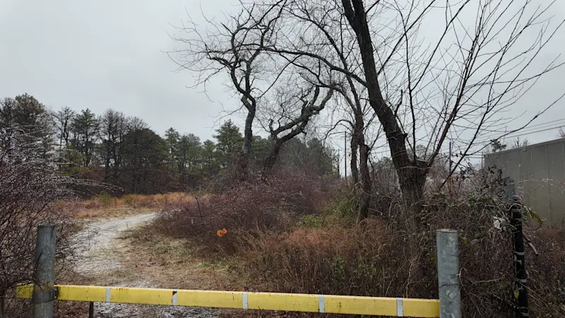 Story image: Project to overhaul acres of woods in Wyandanch clears first hurdle