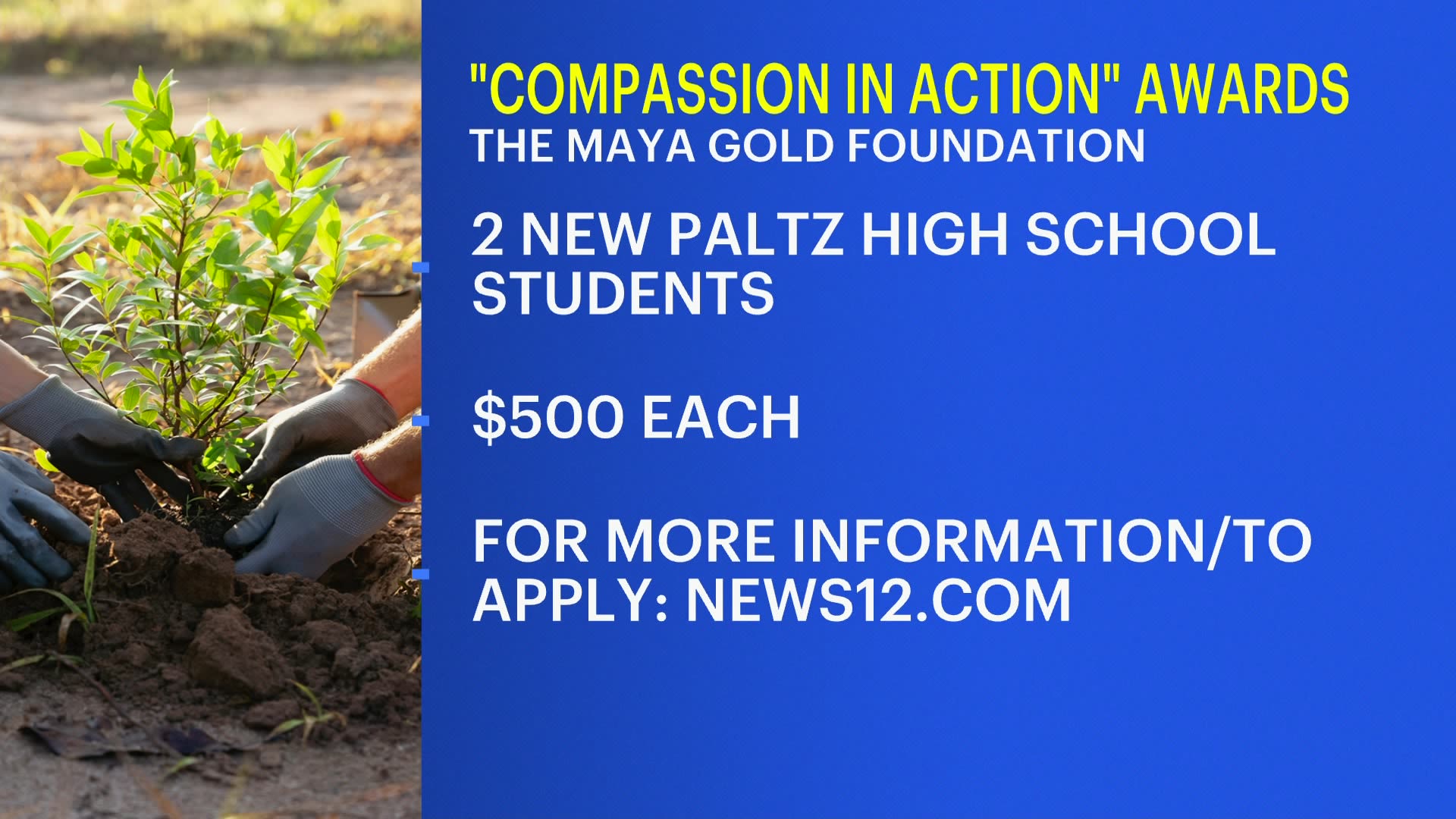 Applications for in Action Award' now open for New Paltz HS