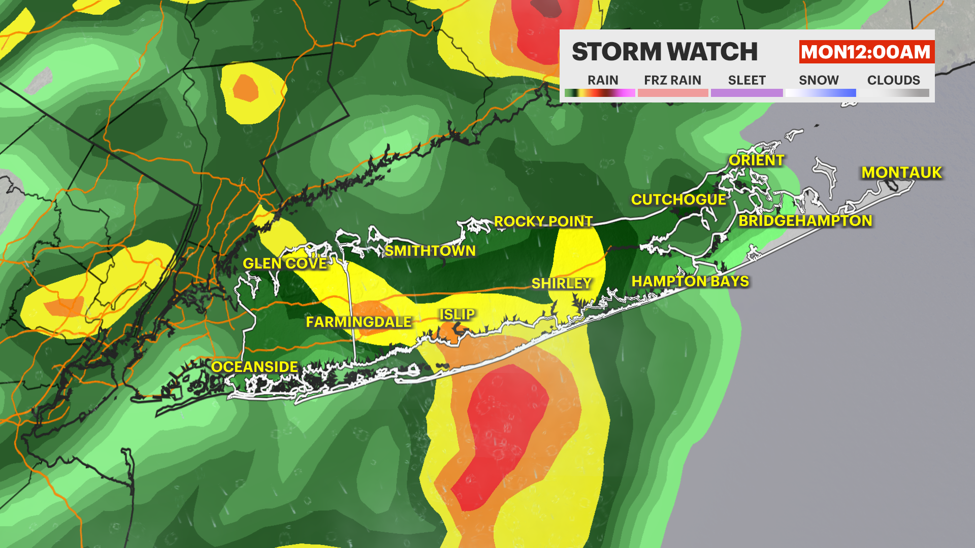 LEANNELI2 (1).png
