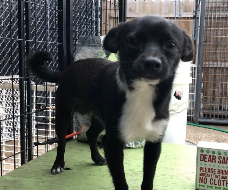 Article 19376 Thumbnail