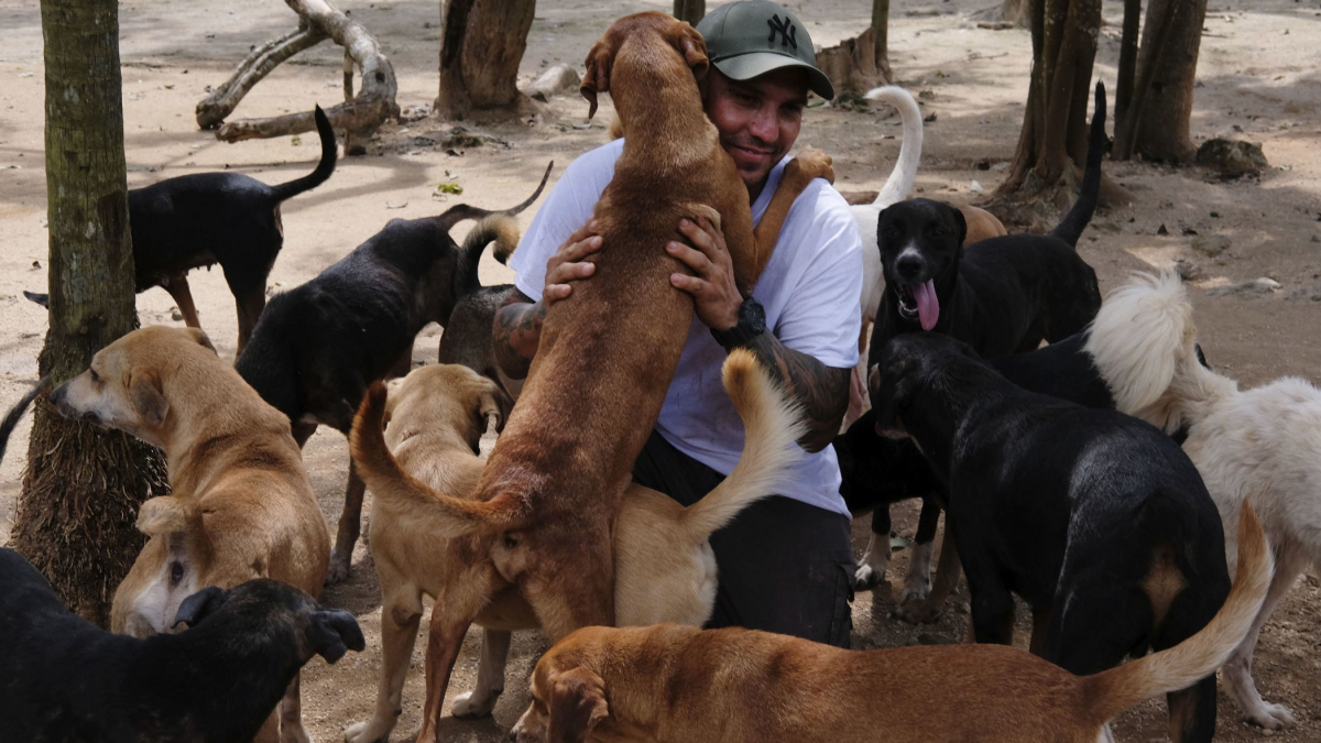 Man Shelters 300 Dogs From Hurricane Delta in Mexico Home