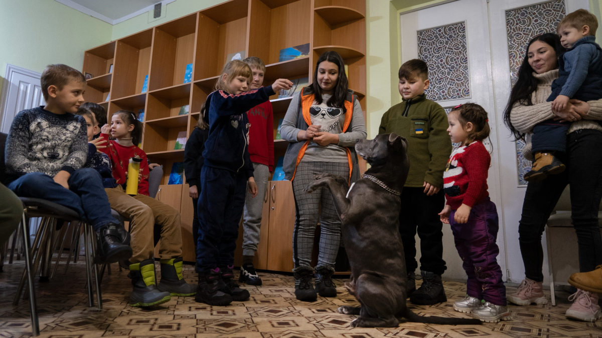 Dog Therapy Comforts Kids Traumatized by War in Ukraine 