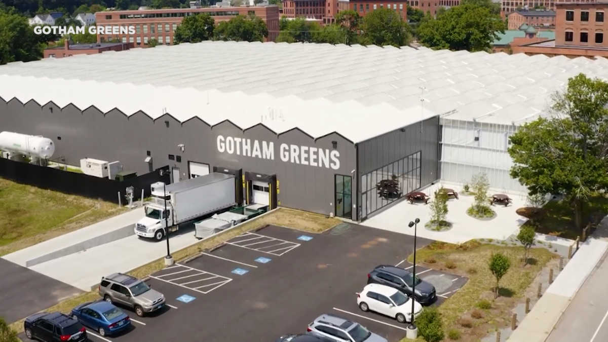 Gotham Greens secures more than $300 million in new capital