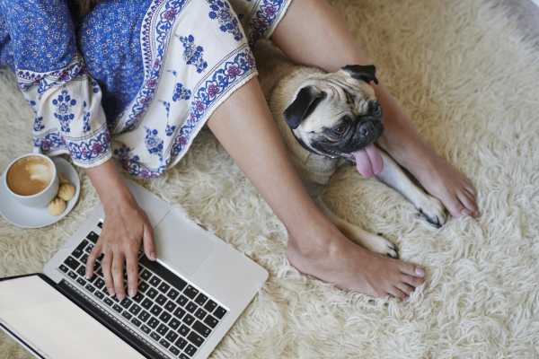WFH: The Emotional and Mental Impact of Working From Home